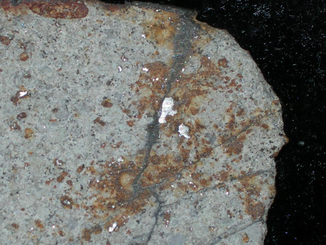 Jumapalo-chondryt-L6. Chondryty grupy L - zawierają już mniej frakcji metalicznej, bywa ona też bardziej nieregularnie rozmieszczona. Źródło zdjęcia:   http://pallasite.ca/