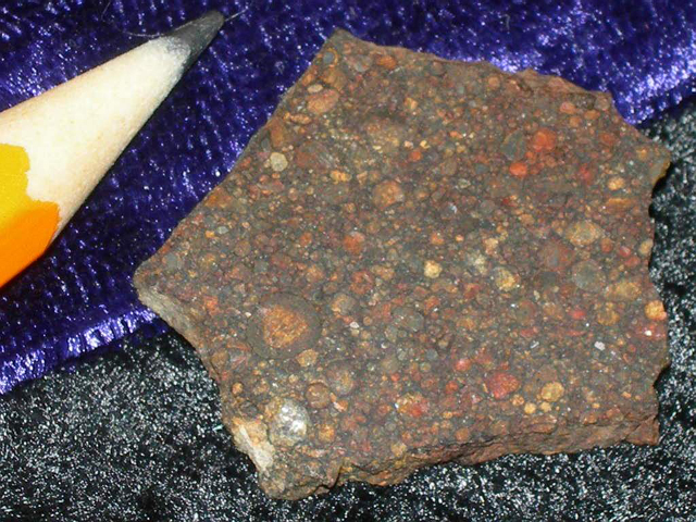 NWA 2704 - chondryt L3 . Mnogość i kolorystyka chondr potrafi spowodować przyspieszony puls u niejednego miłośnika meteorytów!  Źródło zdjęcia:   http://pallasite.ca/