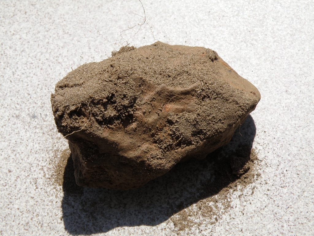 Okaz meteorytu Pułtusk - bezpośrednio po znalezieniu w 2009 roku. Spod piasku widać zaokrągloną powierzchnię. Meteoryt ten spadł w 1868 roku - więc ze względu na warunki klimatyczne oraz stosunkowo dużą zawartość żelazo-niklu - rdzewieją one stosunkowo szybko.  Okaz znaleziony przez Roberta Mularczyka